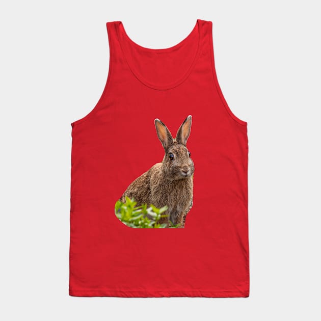 Alert Wild Rabbit Tank Top by dalyndigaital2@gmail.com